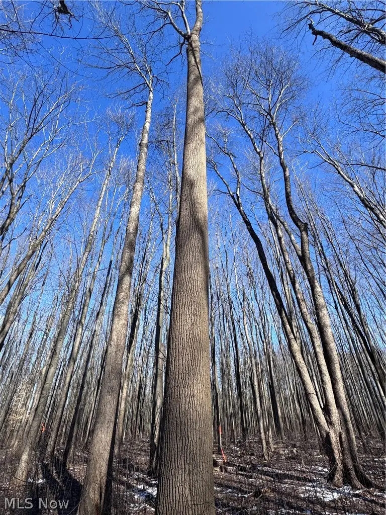 V/L 5 Painesville Warren Road, Leroy, OH 44077 - #3