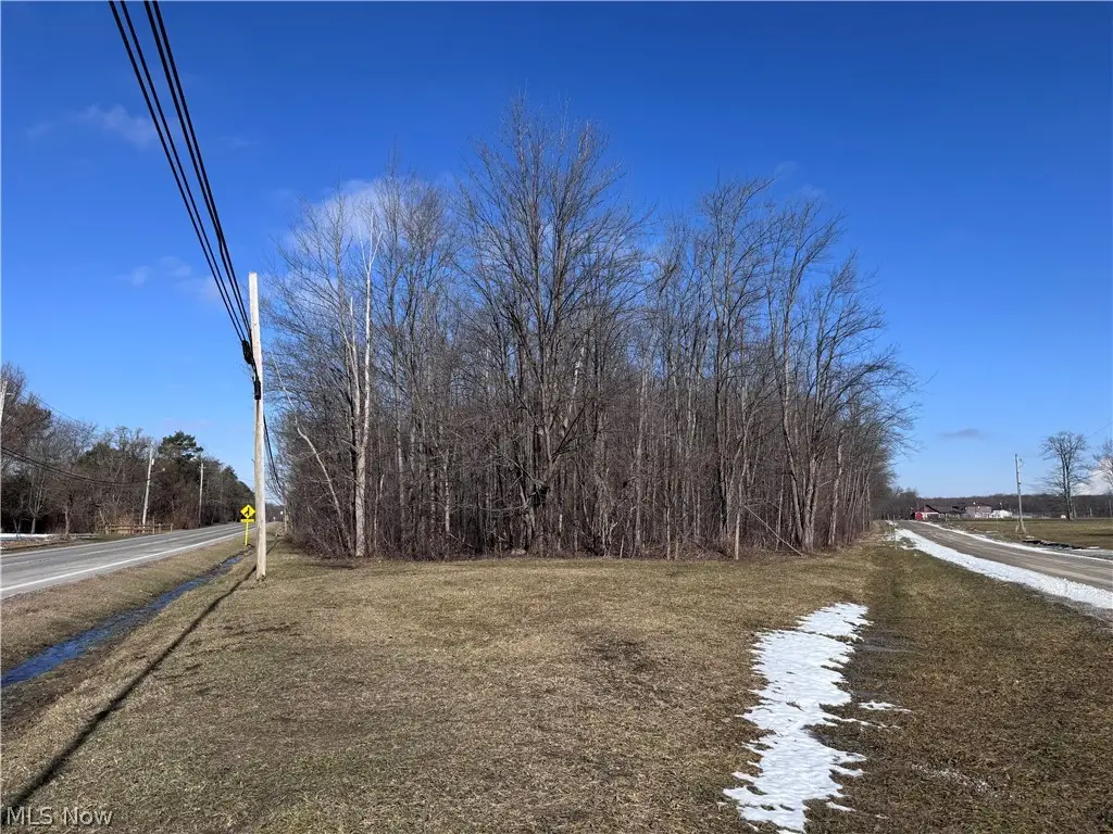 V/L 4 Painesville Warren Road, Leroy, OH 44077 - #1