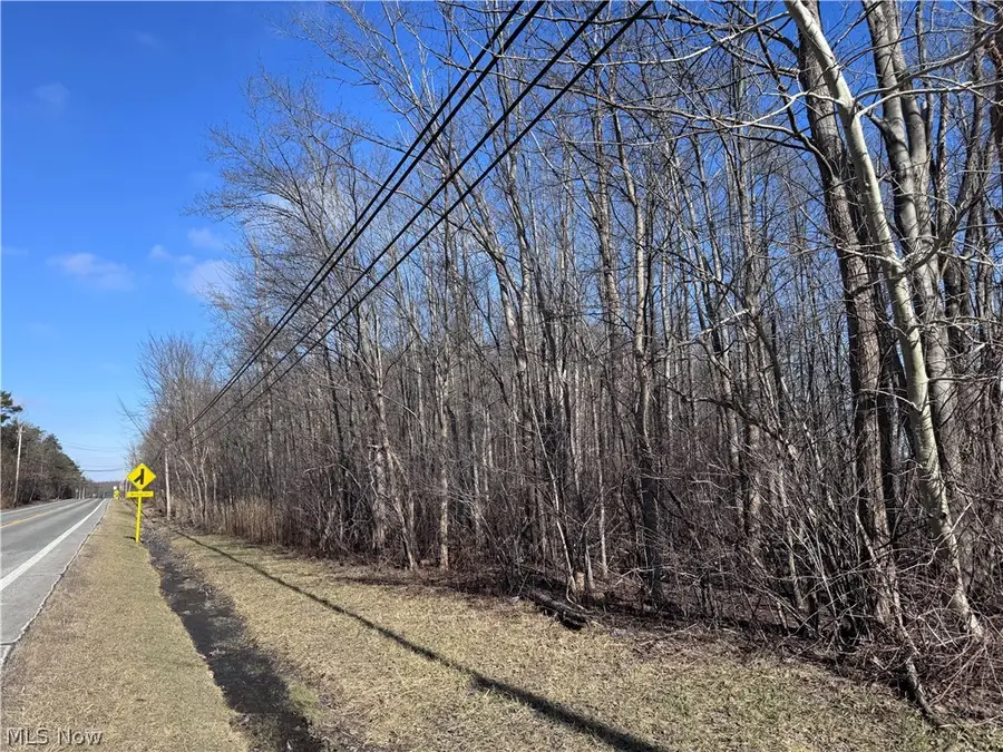 V/L 4 Painesville Warren Road, Leroy, OH 44077 - #3