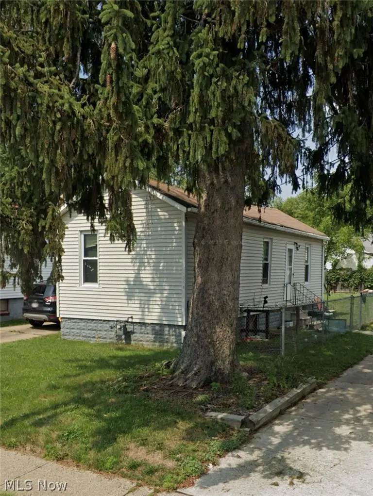 13210 Carrington Avenue, Cleveland, OH 44135 - #1