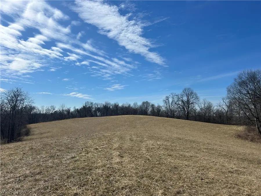 Ridgeview Lane, Blue Rock, OH 43727 - #3