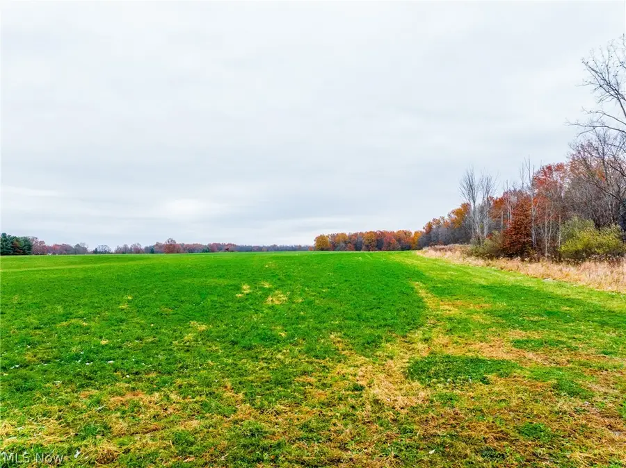 Mahan Denman Road, Bristolville, OH 44402 - #3