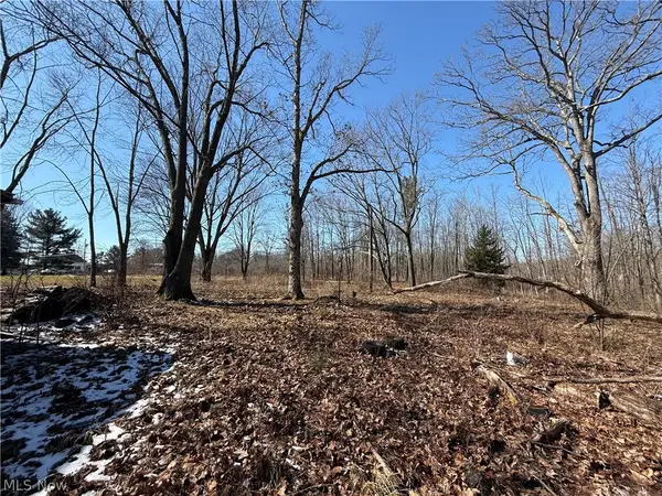 6399 Newton Falls Road, Ravenna, OH 44266