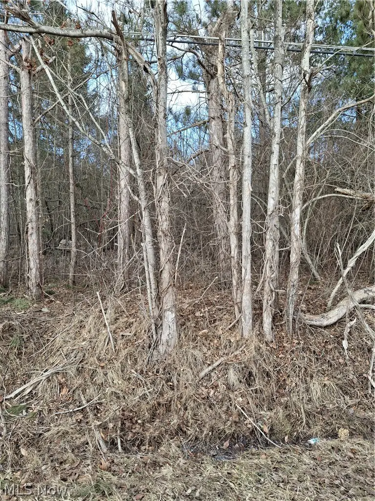 Ballash Road, Medina, OH 44256 - #2