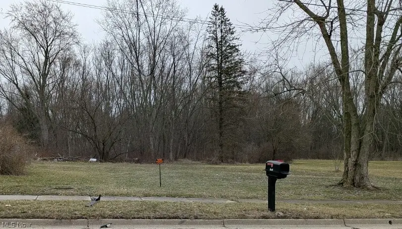 1653 Mohawk Drive, Akron, OH 44306 - #1