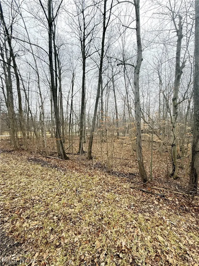 5038 Maderia Drive, West Salem, OH 44287 - #1