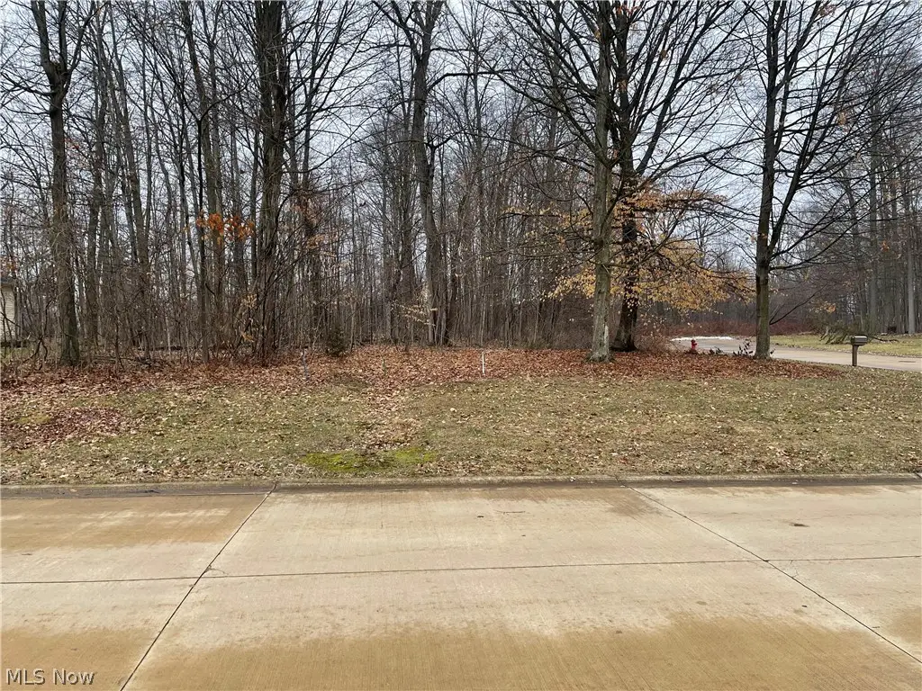 Stony Brook Lane, Wakeman, OH 44889 - #1