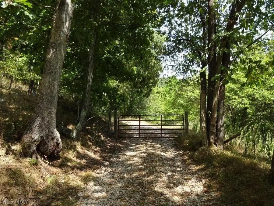 Blown Timber, Newton, WV 25266 - #2