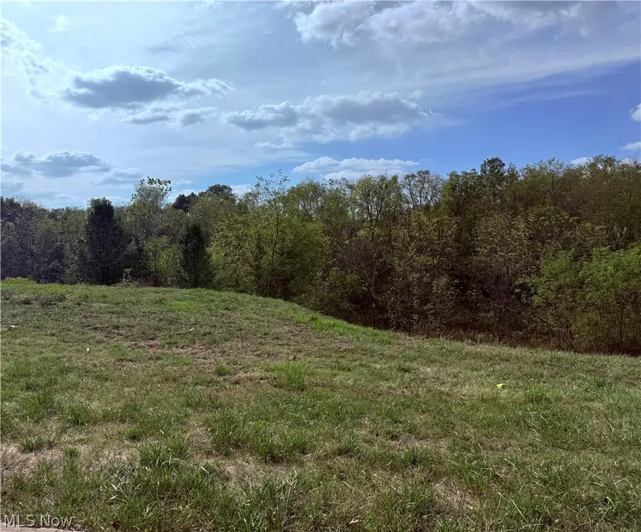 Cara Place, Wintersville, OH 43952 - #2