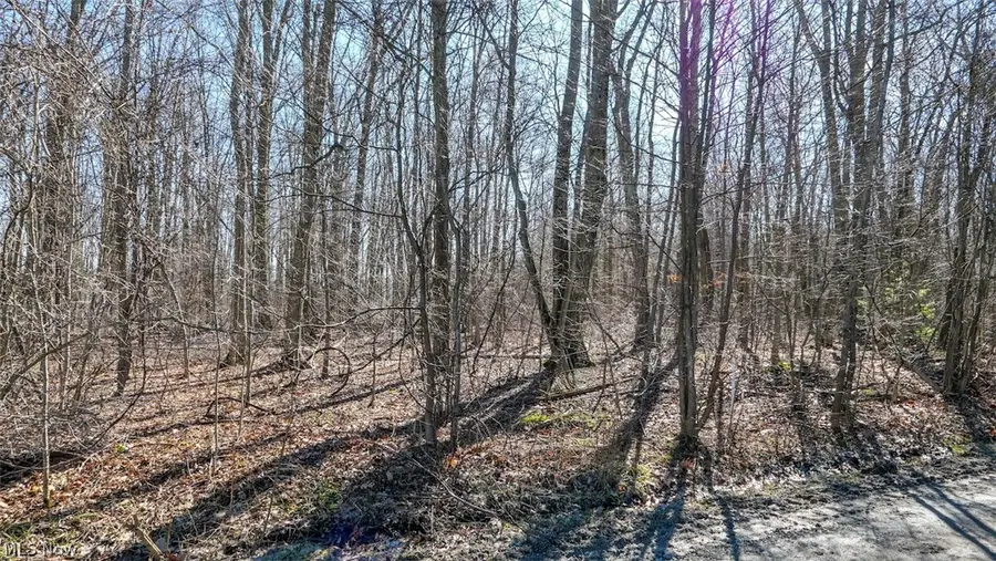 Rockwood Road, Windsor, OH 44099 - #3