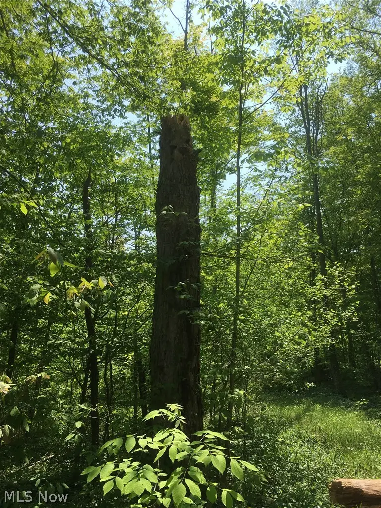 0 Fowlers Mill Road, Chardon, OH 44024 - #3