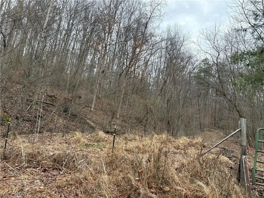 Long Run Road, Waverly, WV 26184 - #2