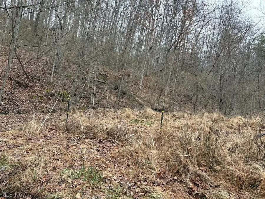 Long Run Road, Waverly, WV 26184 - #3