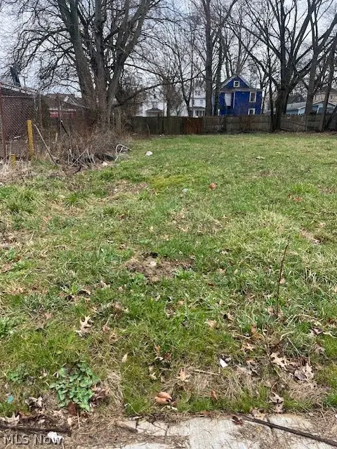 805 Sumner Street, Akron, OH 44311 - #3