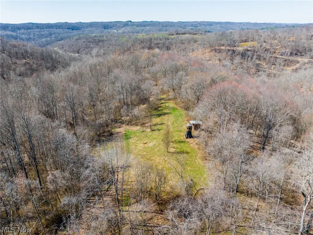 Sheepskin Ridge Road, Lower Salem, OH 45745 - #1