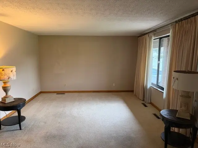 119 E 5th Street, Williamstown, WV 26187 - #3