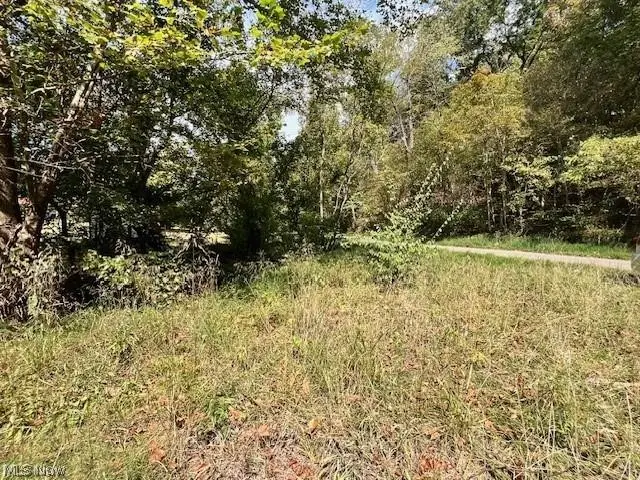 1205 Horse Lick Road, Gallipolis Ferry, WV 25515 - #3