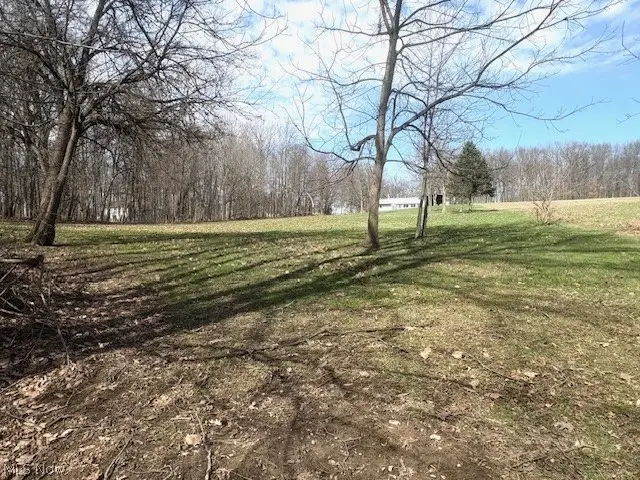 38019 Longs Crossing Road, Leetonia, OH 44431 - #2