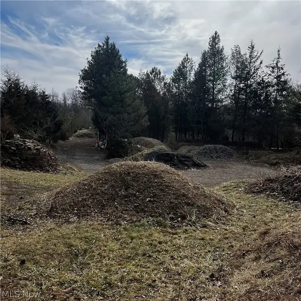 6589 Hathaway Road, Valley View, OH 44125