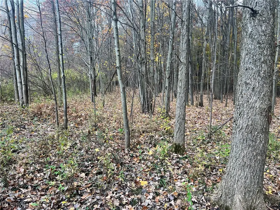 Marrian Road, Dorset, OH 44032 - #2