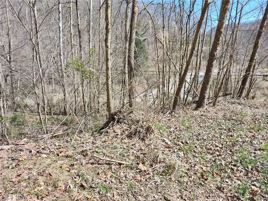 Route 119, Clendenin, WV 25045 - #3