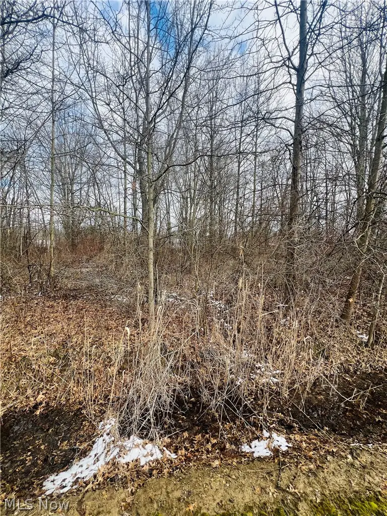 Lot 115 Breezewood Lane, Orwell, OH 44076 - #2