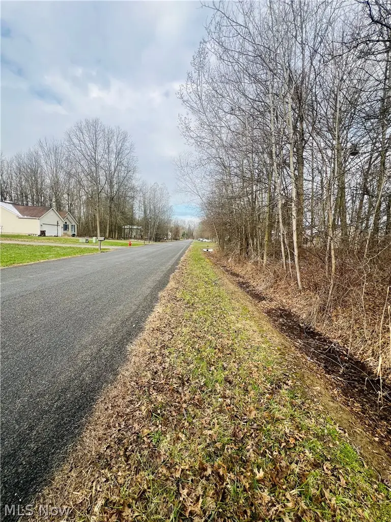 Lot 115 Breezewood Lane, Orwell, OH 44076 - #3