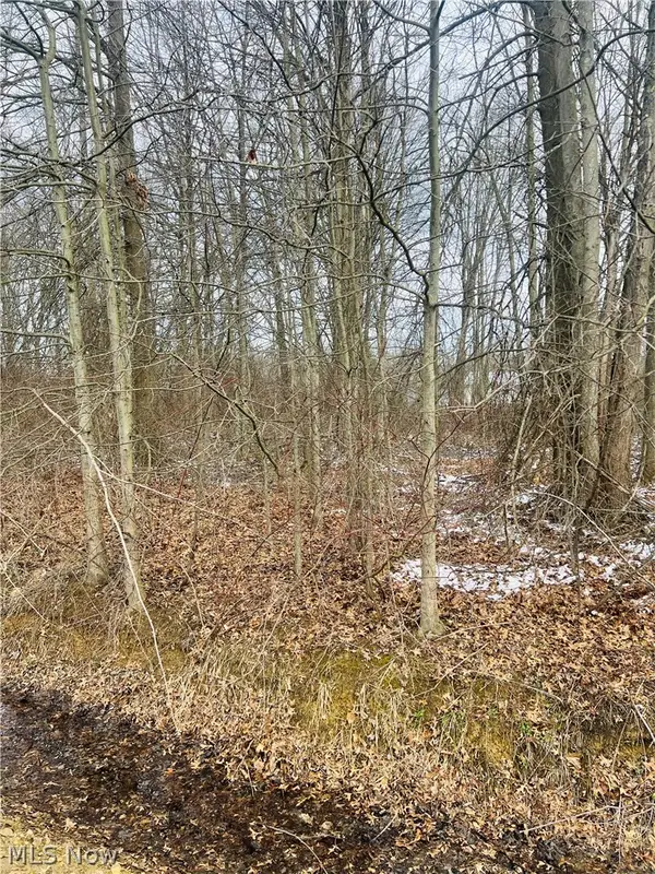 Lot 113 Breezewood Lane, Orwell, OH 44076