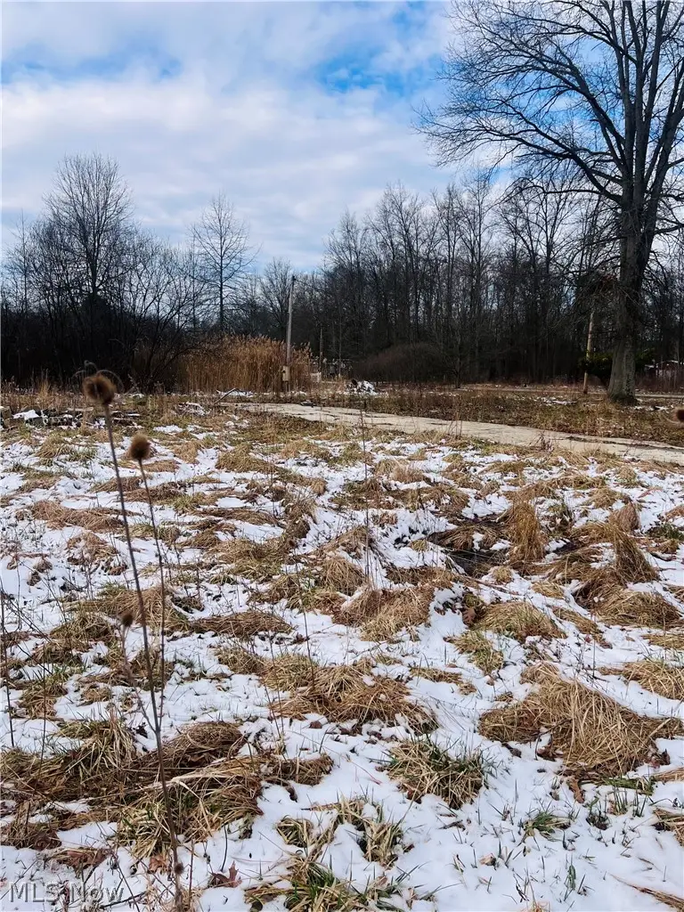 8670 Fortney Road, Orwell, OH 44076 - #2