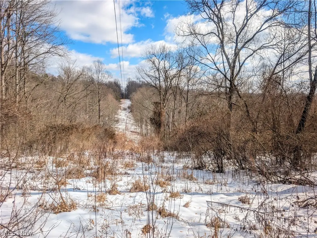 0 Tract 13 Ayers Ridge, Elk, OH 43788 - #1