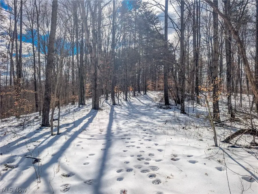 0 Tract 13 Ayers Ridge, Elk, OH 43788 - #3
