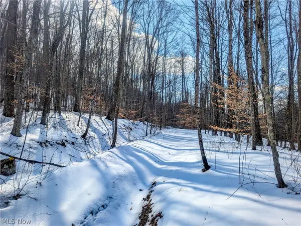 0 Tract 15 Peaker Run, Macksburg, OH 45745