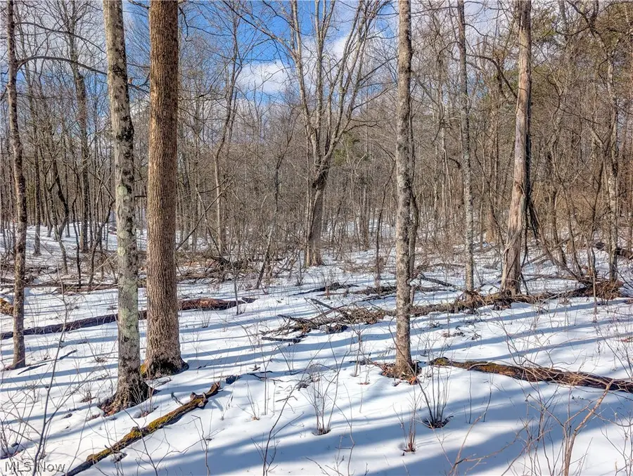 0 Tract 15 Peaker Run, Salem, OH 45745 - #2