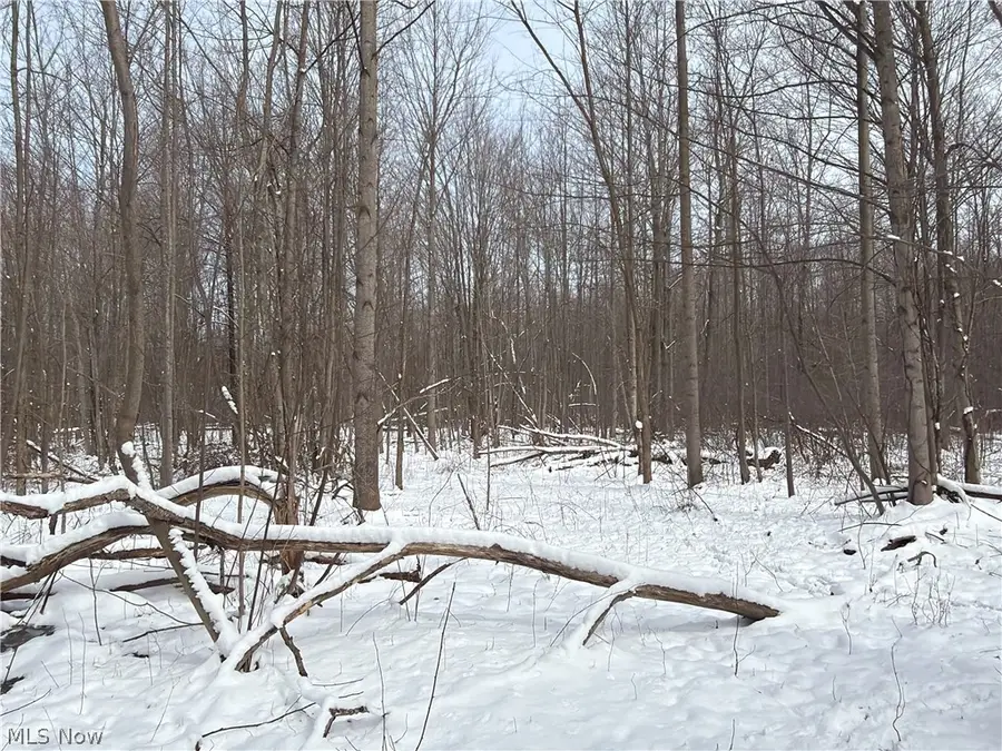 Munson Hill Road, Ashtabula, OH 44004 - #2