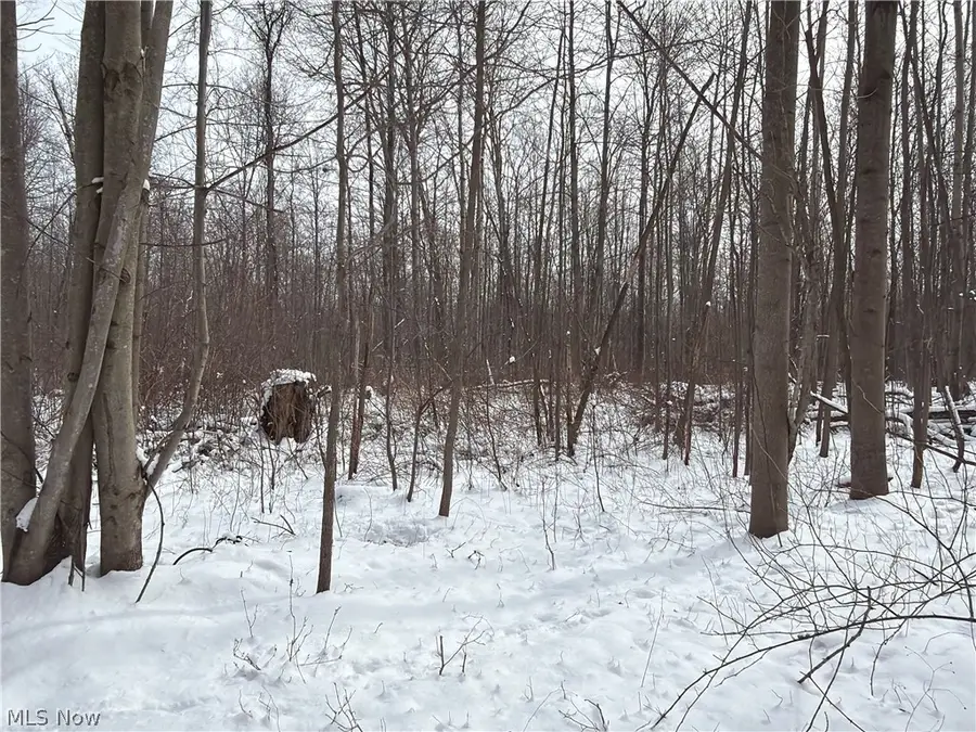 Munson Hill Road, Ashtabula, OH 44004 - #3