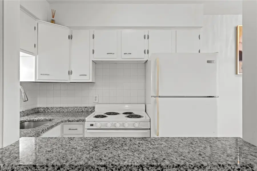 12520 Edgewater Drive #1504, Lakewood, OH 44107 - #3