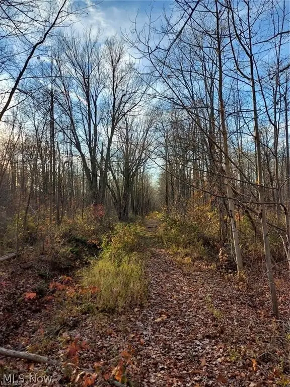 Magnolia Drive #6, Madison, OH 44057 - #3