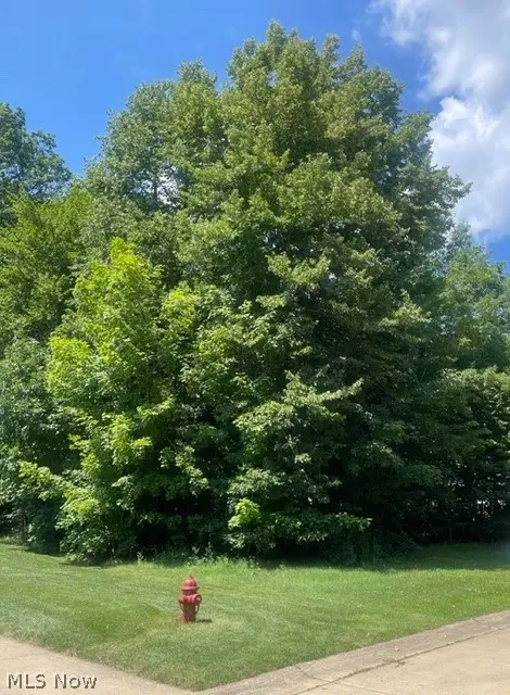 V/L 258 Stony Brook Lane, Wakeman, OH 44889 - #3