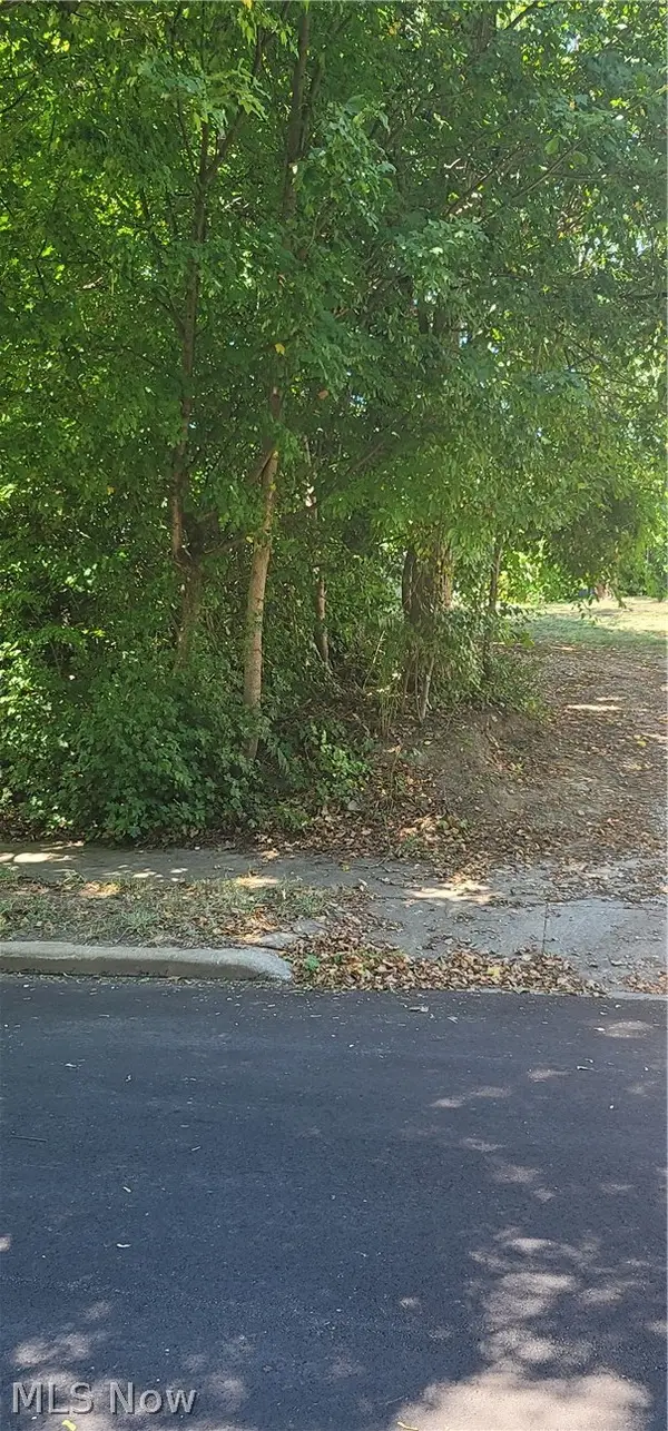 Kline Avenue, Akron, OH 44305