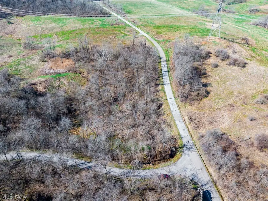 Township Road 135, Dillonvale, OH 43917 - #2