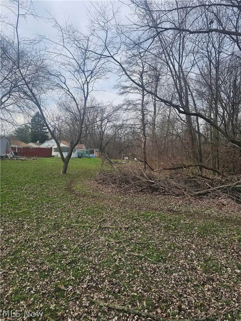 3563 Valerie Drive, Youngstown, OH 44502 - #3