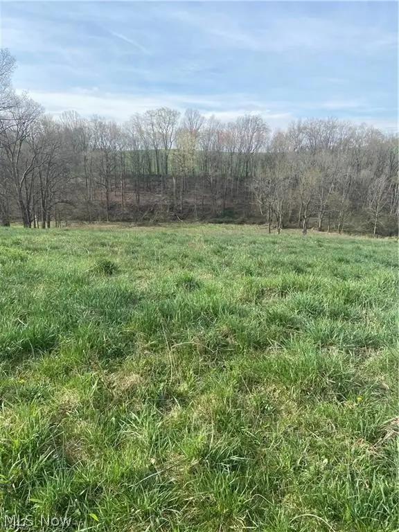 0 Judson Street, Bethesda, OH 43719 - #1