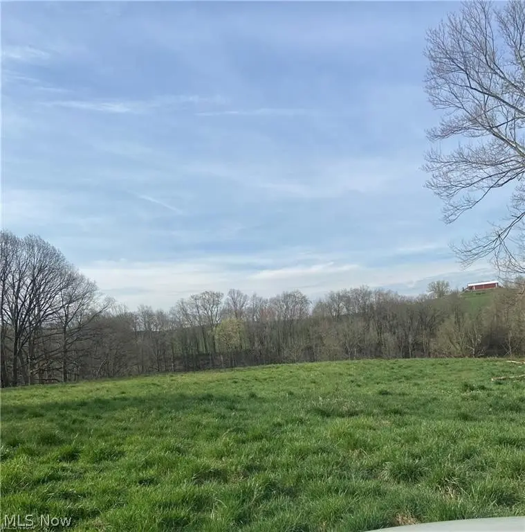 0 Judson Street, Bethesda, OH 43719 - #3