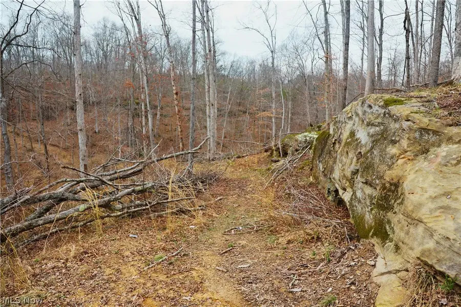 Brimstone Road, Coolville, OH 45723 - #3