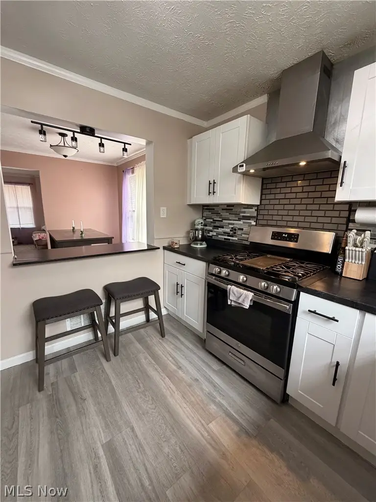 1338 W 89th Street, Cleveland, OH 44102 - #3