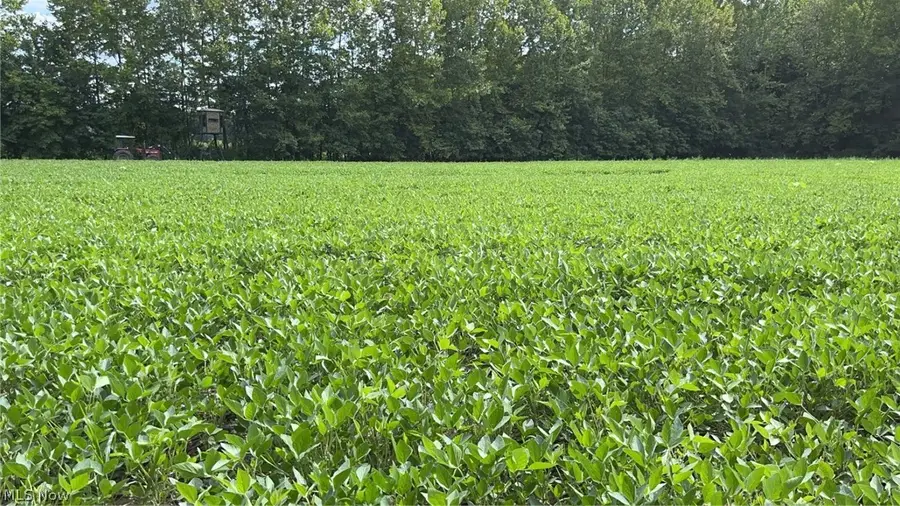 Flagdale, Junction City, OH 43748 - #2