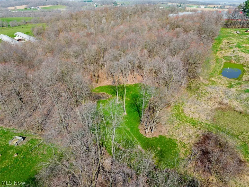 Nebraska Road, Dundee, OH 44624 - #1