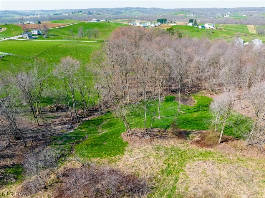 Nebraska Road, Dundee, OH 44624 - #2