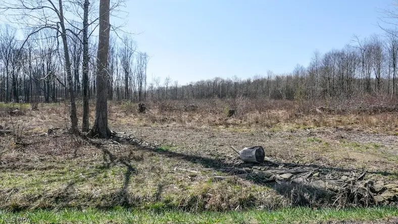 Vl 09-101705 Warren Meadville, Kinsman, OH 44428 - #3