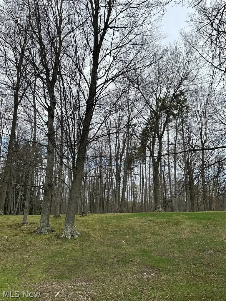 170 West Main St/ Us Rt 322, Orwell, OH 44076 - #1